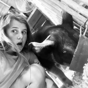 Meet your Posher, Mallory